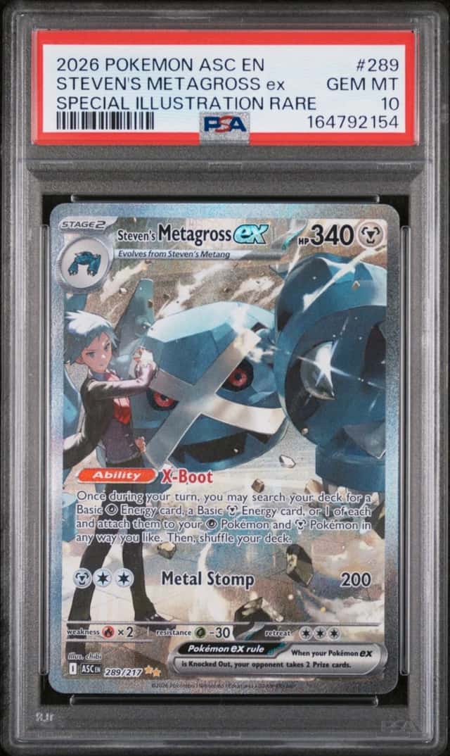 STEVEN'S METAGROSS ex