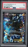 Zekrom Ex