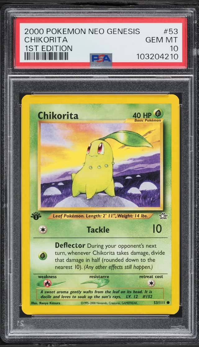 Chikorita