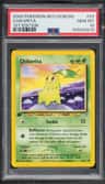 Chikorita