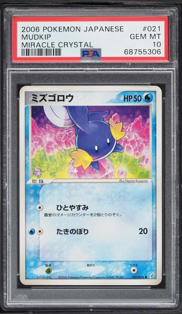 Mudkip
