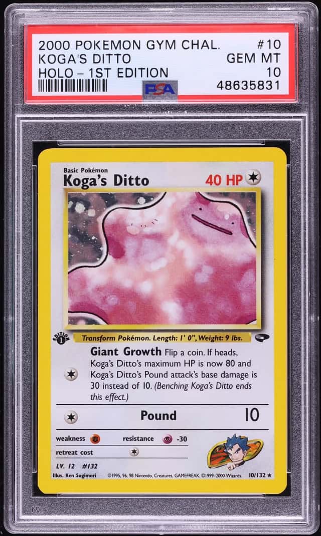Koga's Ditto