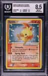 Torchic