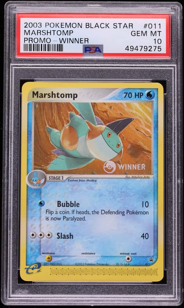 Marshtomp