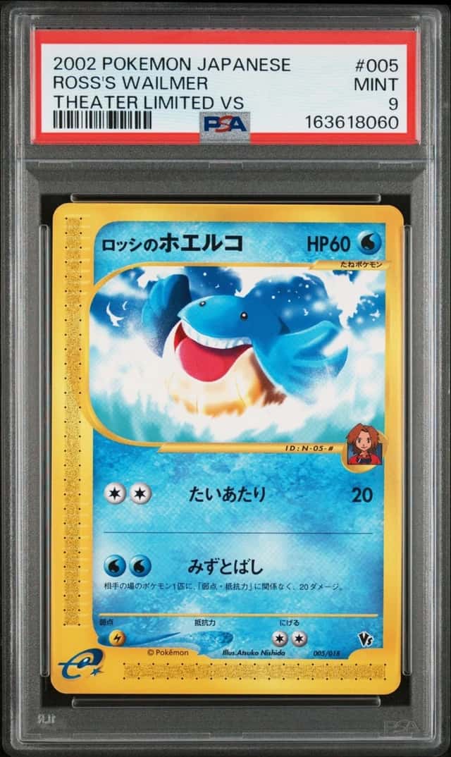 Ross's Wailmer