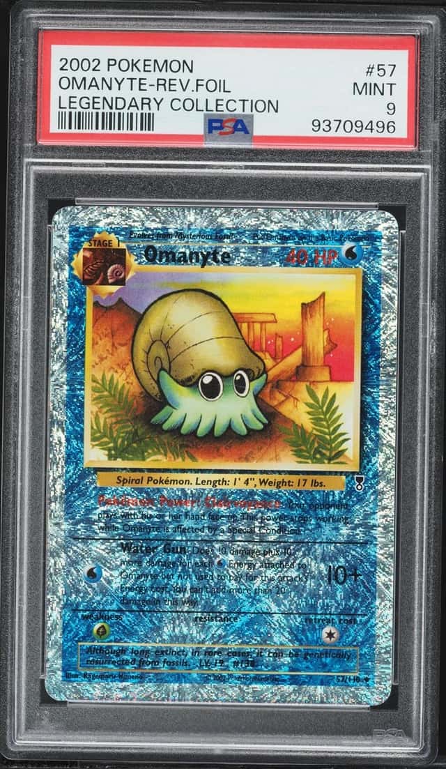 Omanyte