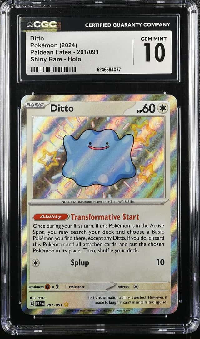 Ditto