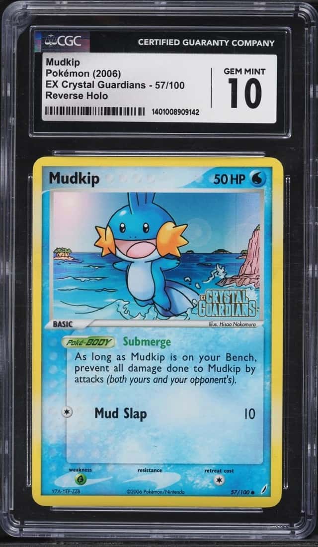 Mudkip