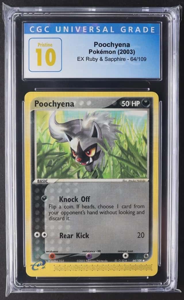 Poochyena