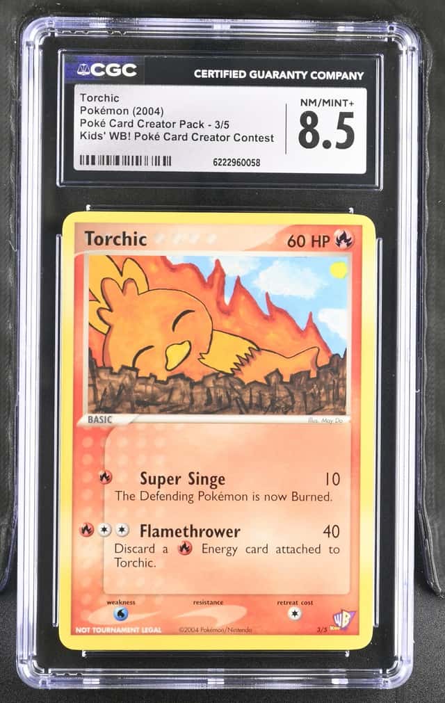 Torchic