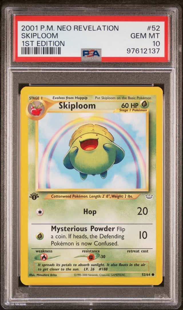 Skiploom