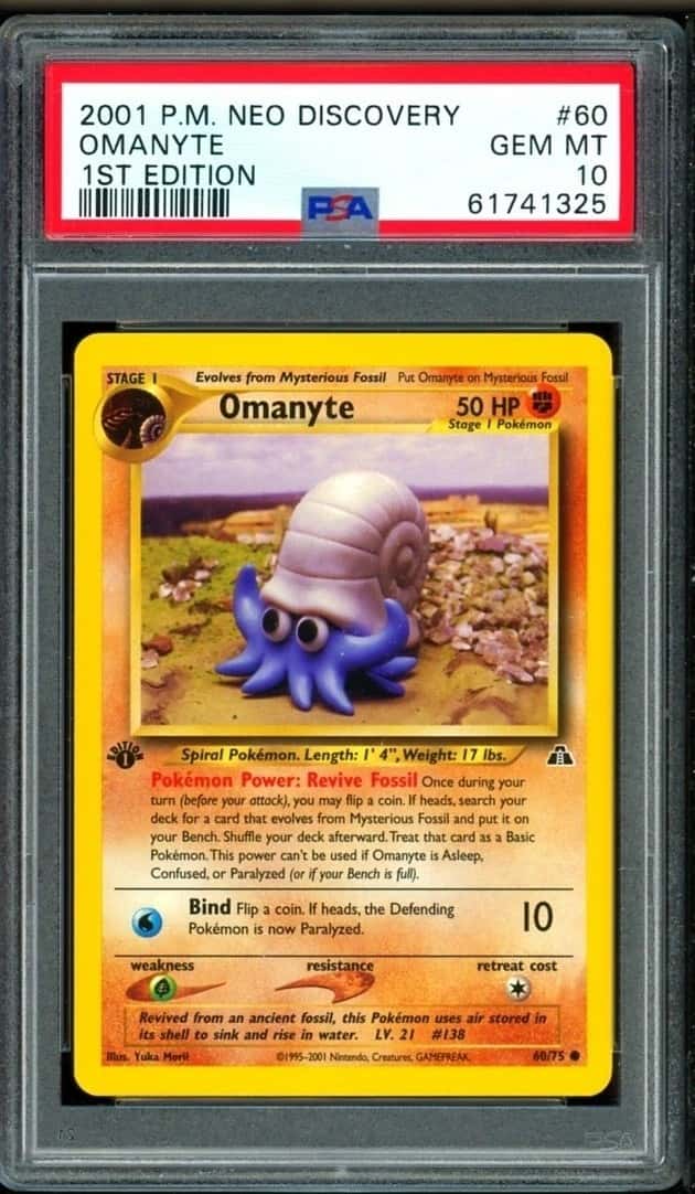 Omanyte