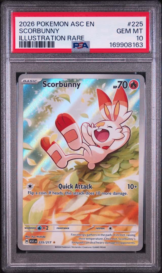 Scorbunny