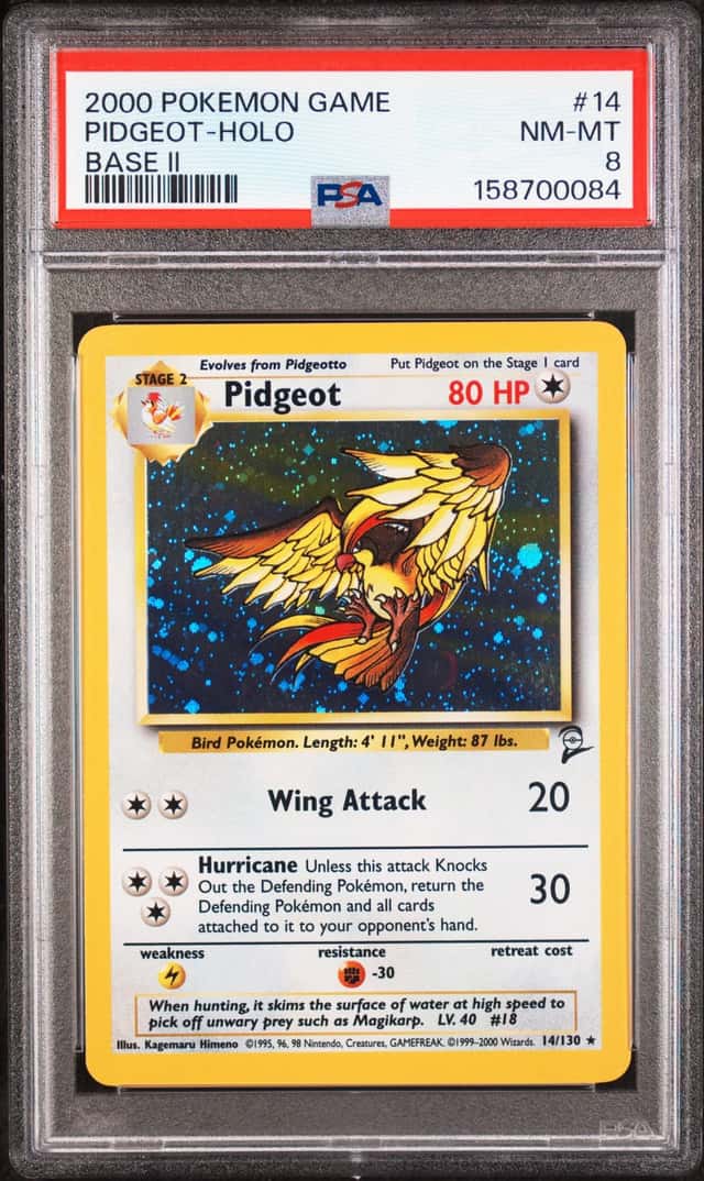 Pidgeot