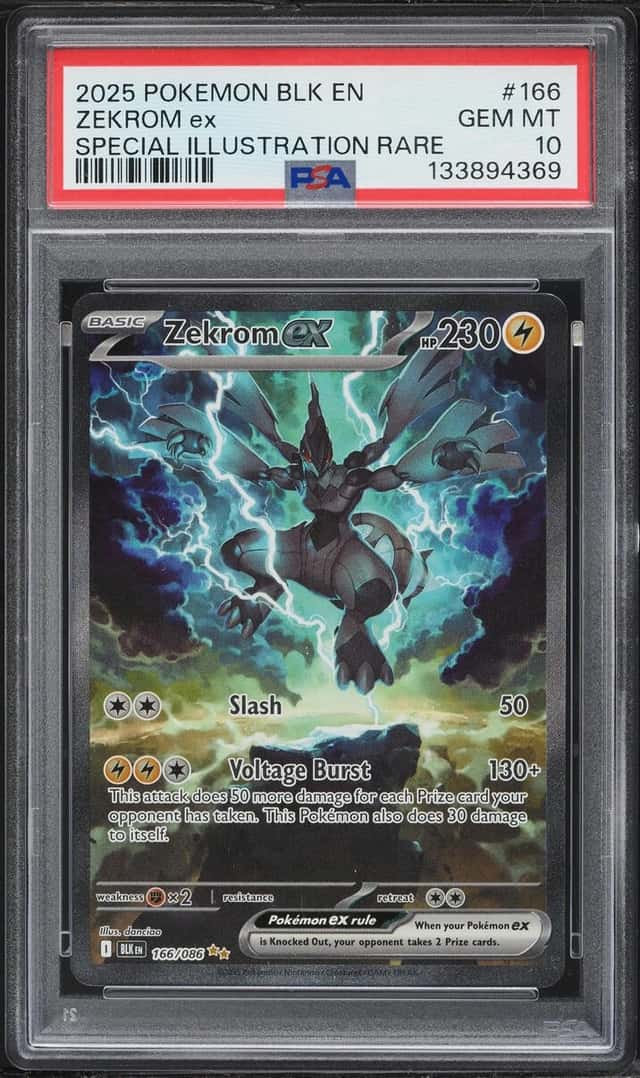 ZEKROM ex
