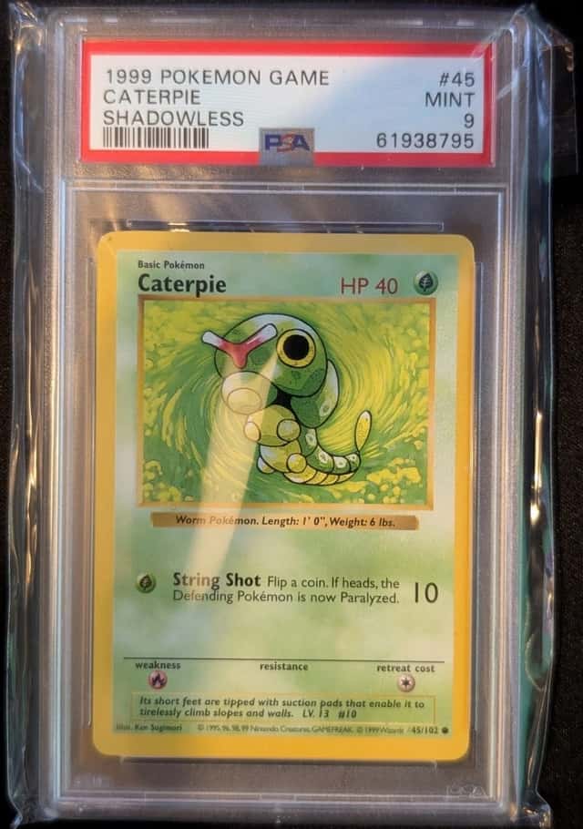 Caterpie