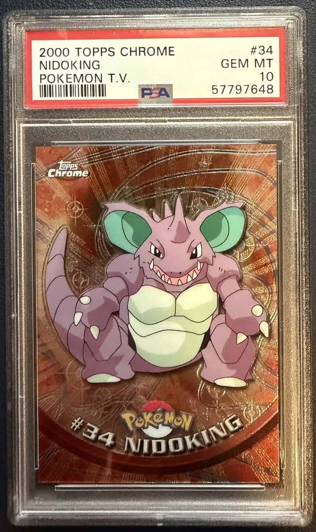 Nidoking