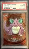 Nidoking