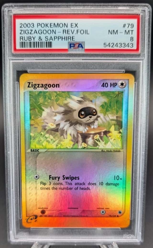 Zigzagoon