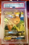 Raichu Gx