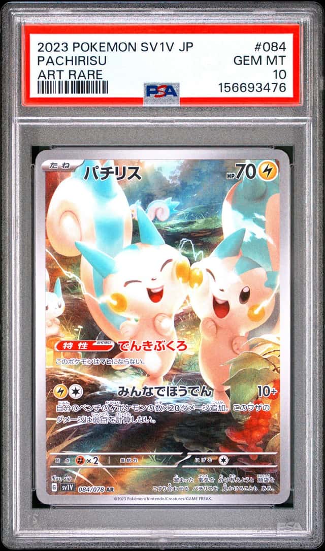 Pachirisu