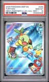 Turtwig