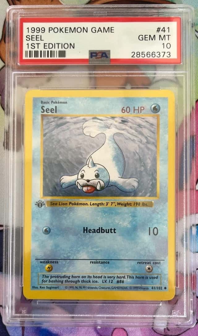 Seel