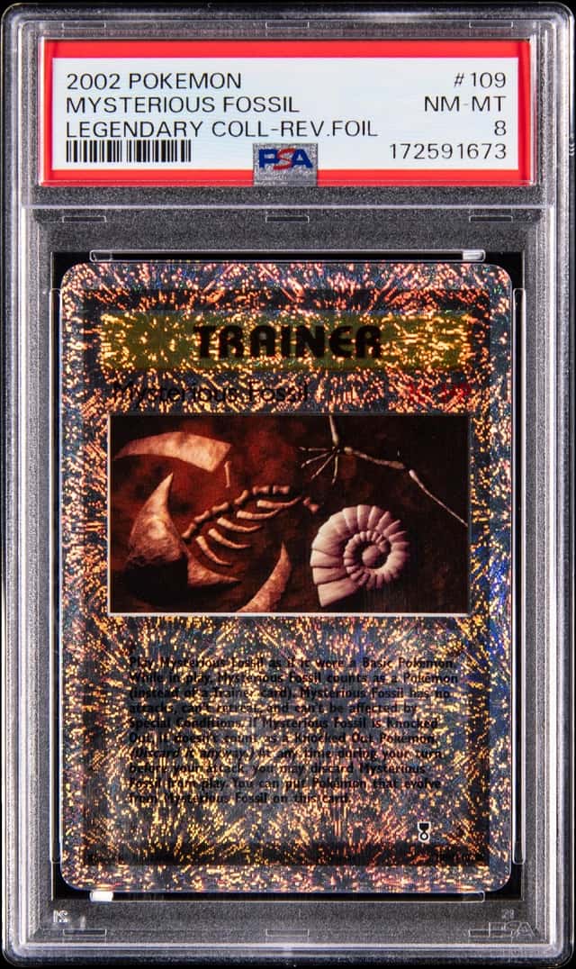 Mysterious Fossil