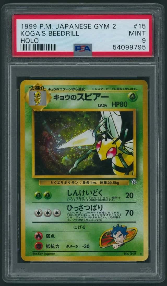 Koga's Beedrill