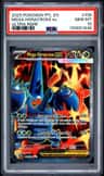 Mega Heracross Ex