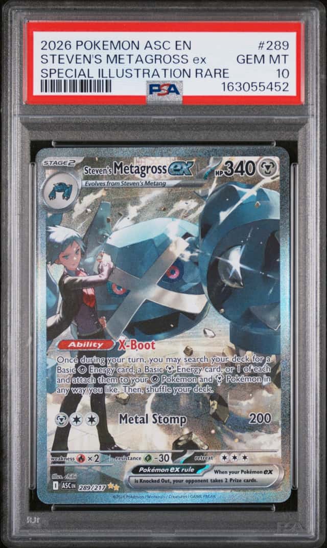 STEVEN'S METAGROSS ex