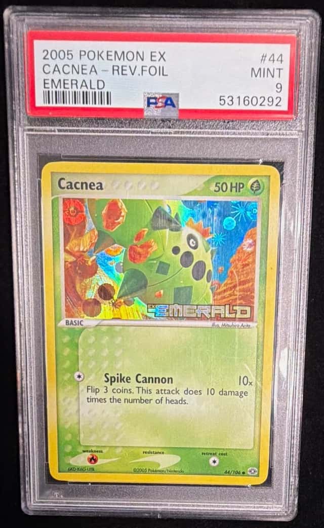 Cacnea