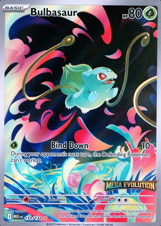 Box Topper