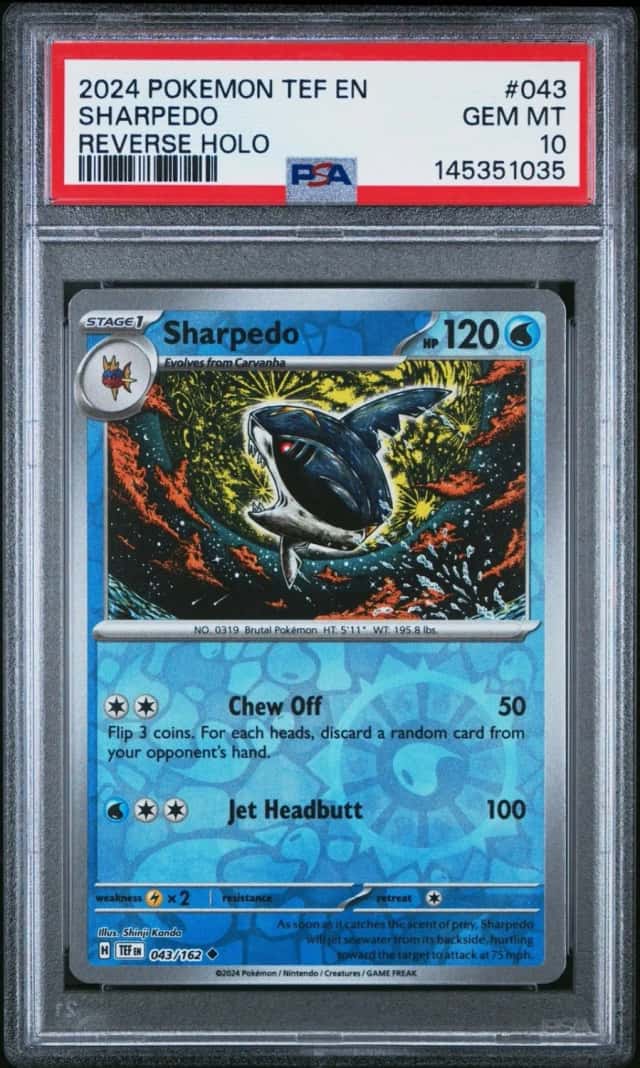 Sharpedo