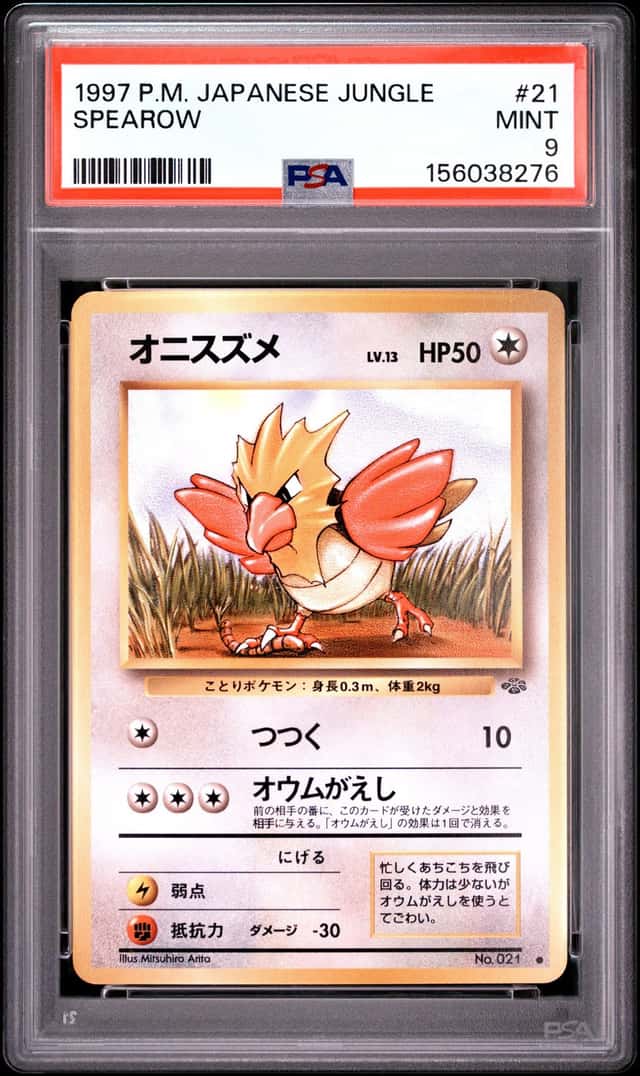 Spearow