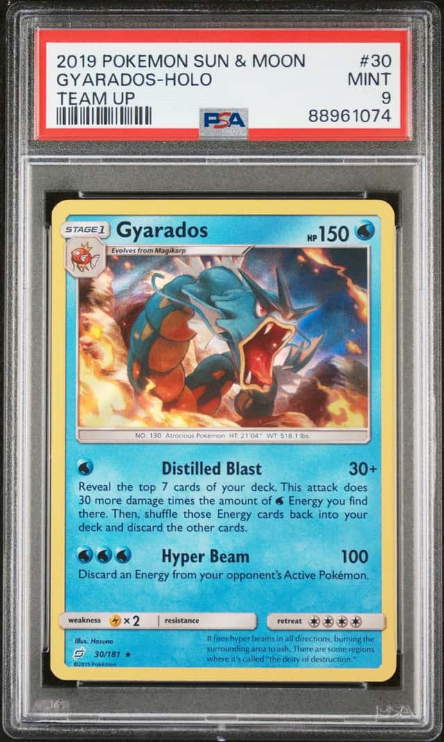 Gyarados