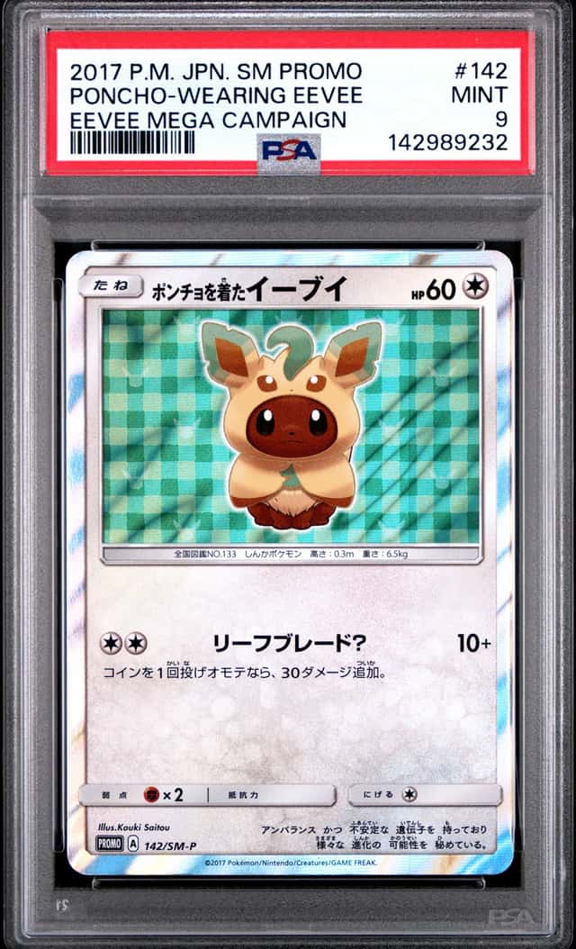 Poncho-Wearing Eevee