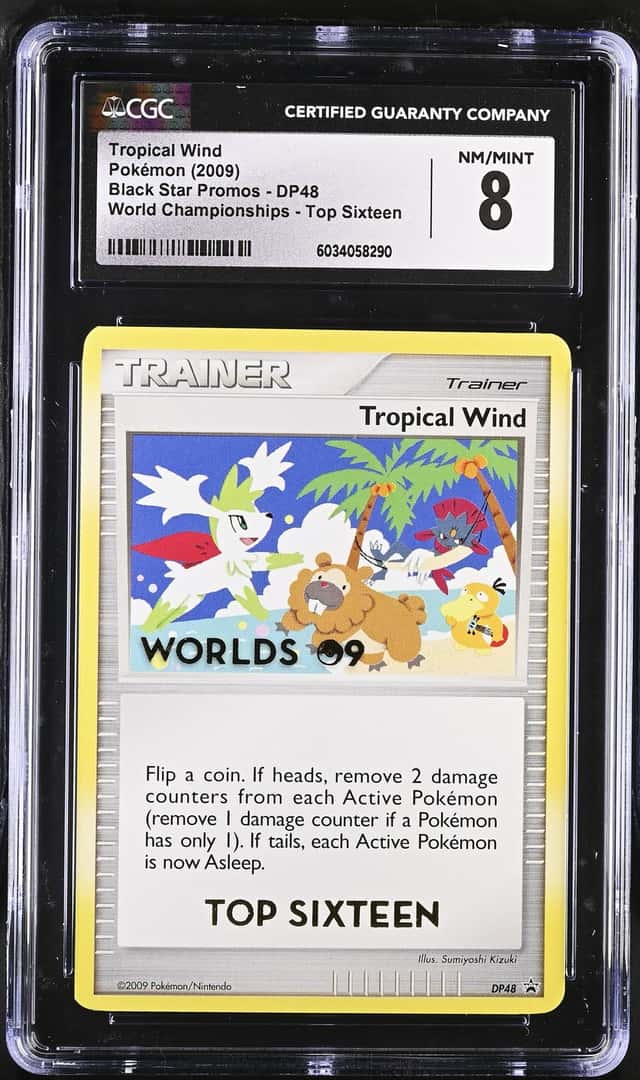 Tropical Wind