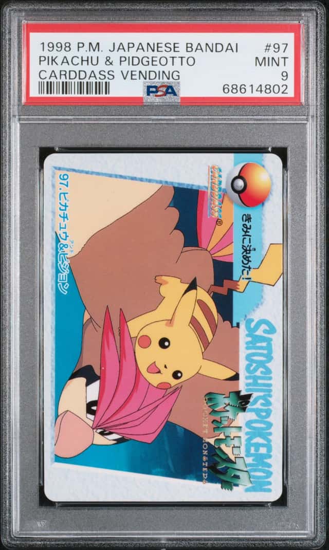 Pikachu & Pidgeotto