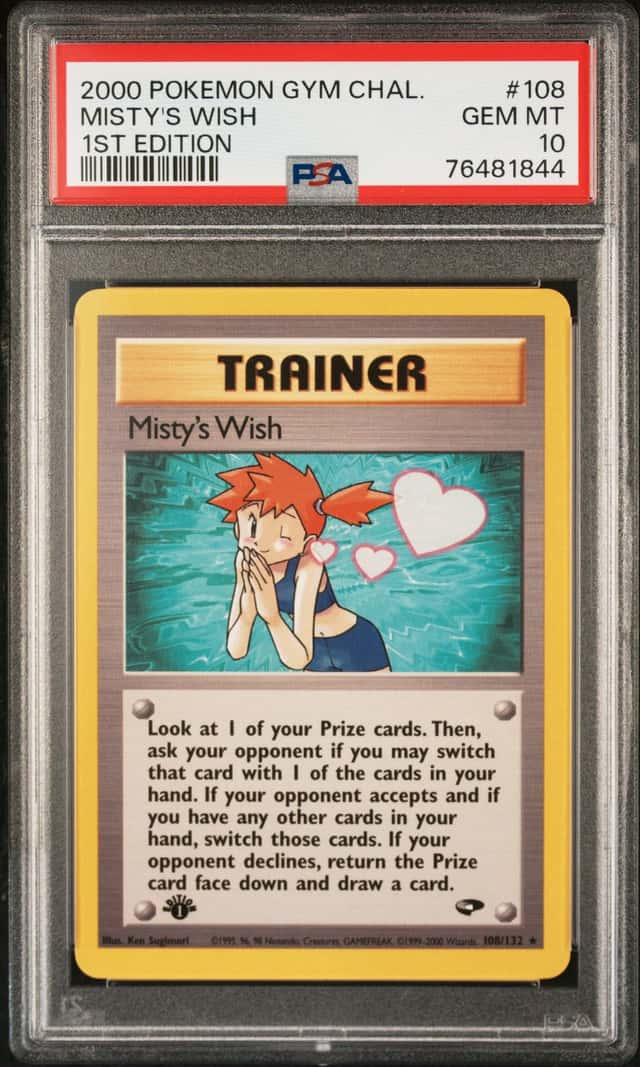 Misty's Wish