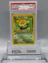 Skiploom