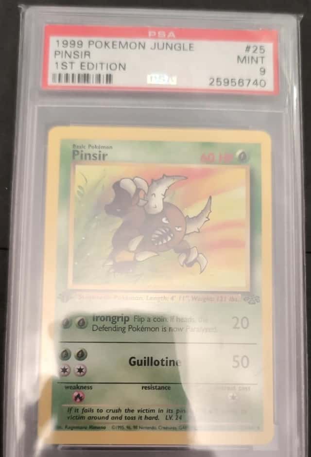 Pinsir