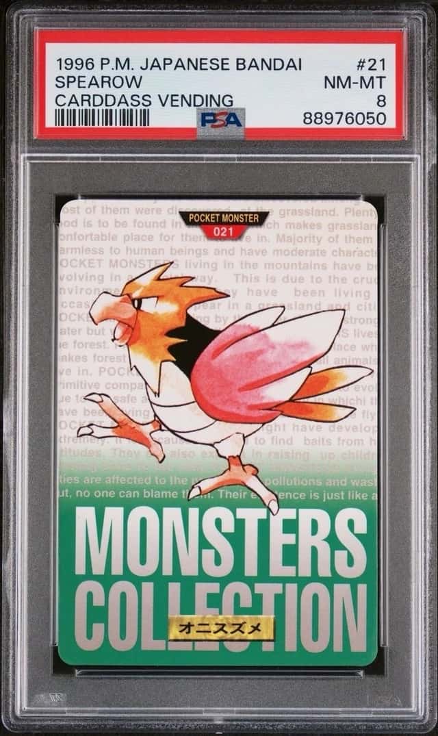 Spearow