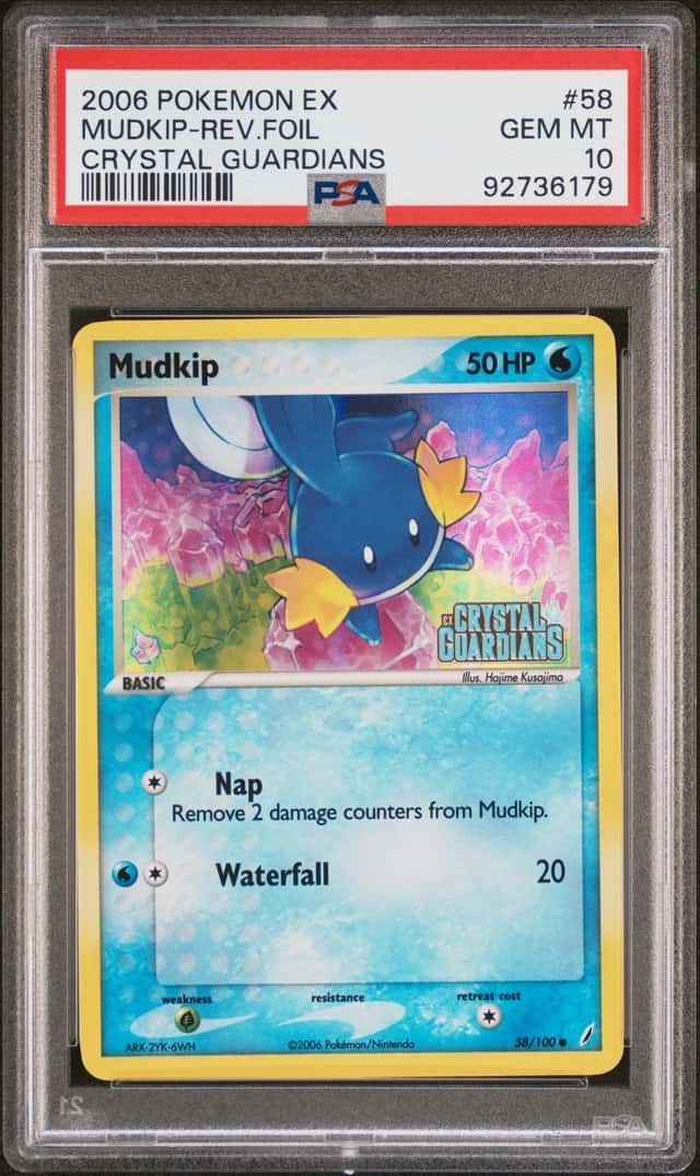 Mudkip
