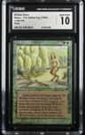 Willow Satyr