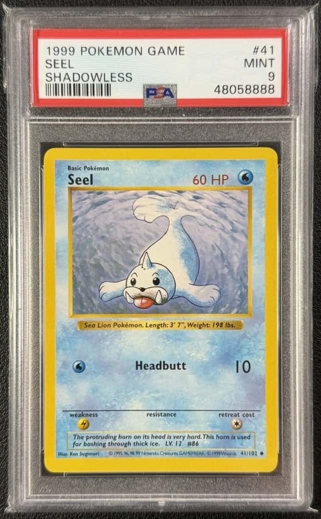 Seel