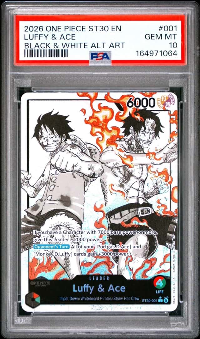 Luffy & Ace