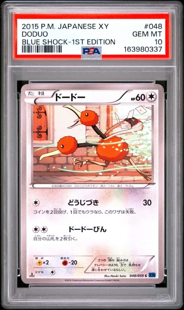 Doduo