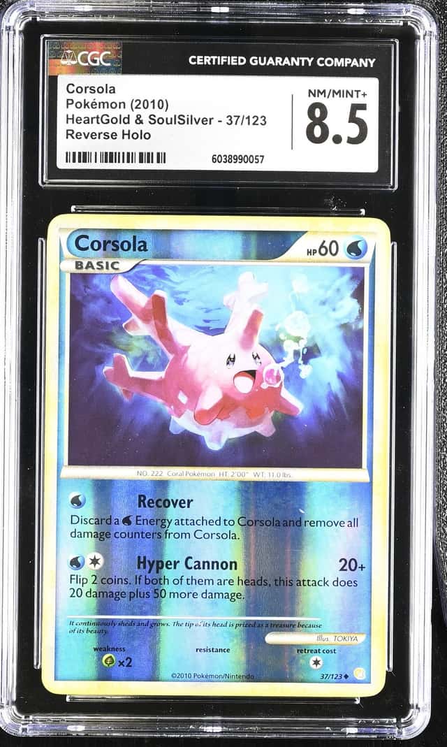 Corsola