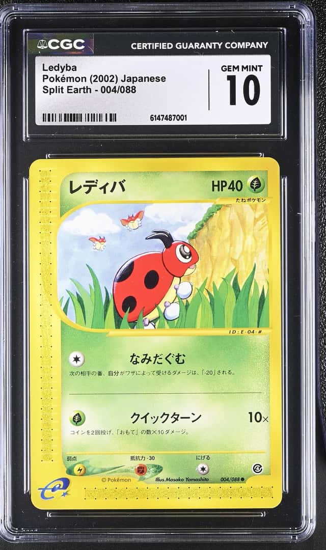 Ledyba